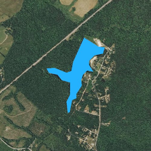 Nelson Lake, Virginia Fishing Report